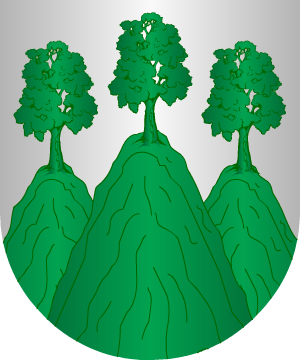 ESCUDO ALEATORIO